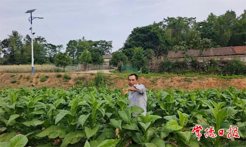 邓继新.jpg