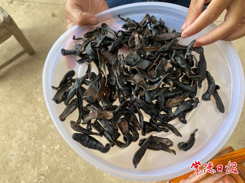 微信图片_20230615170035.jpg