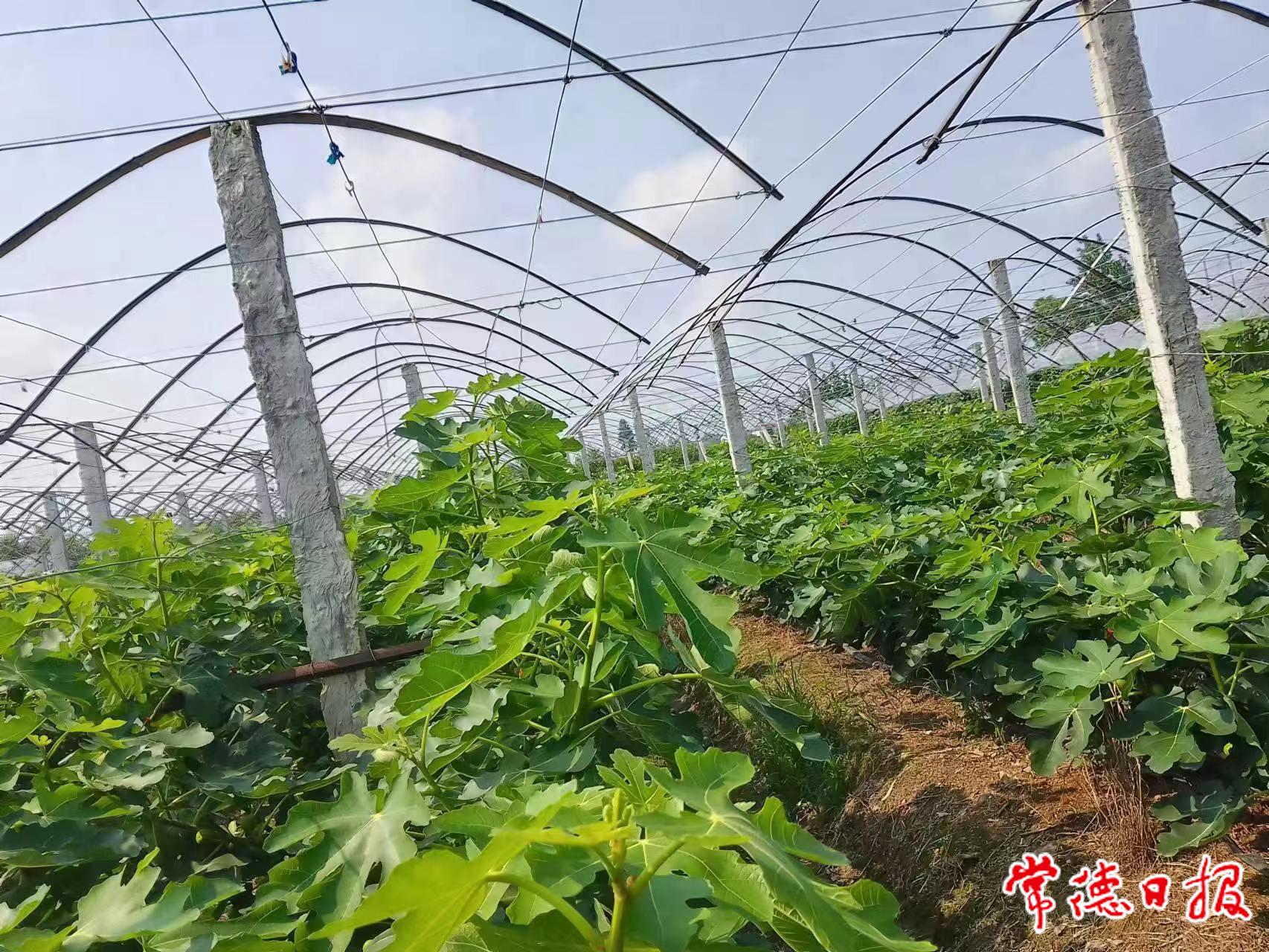 微信图片_20230625161414.jpg