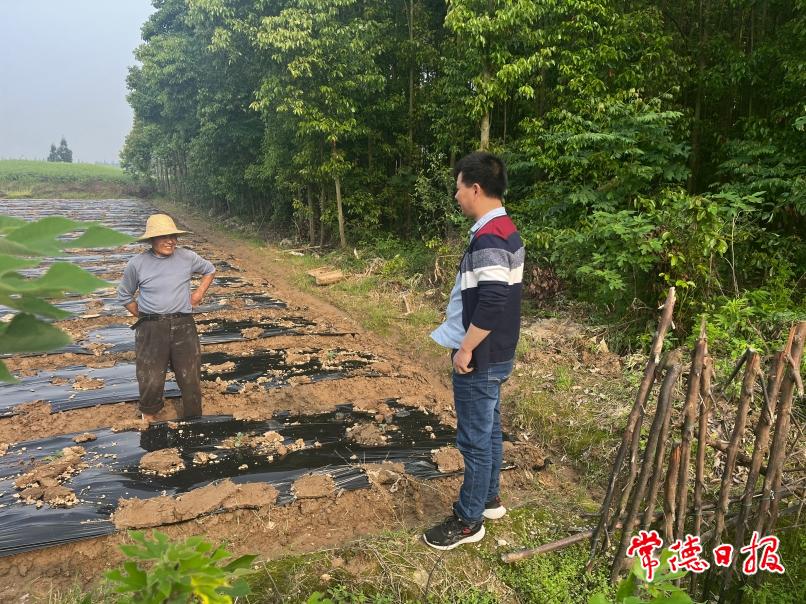 李军田间蔬菜种植指导.jpg