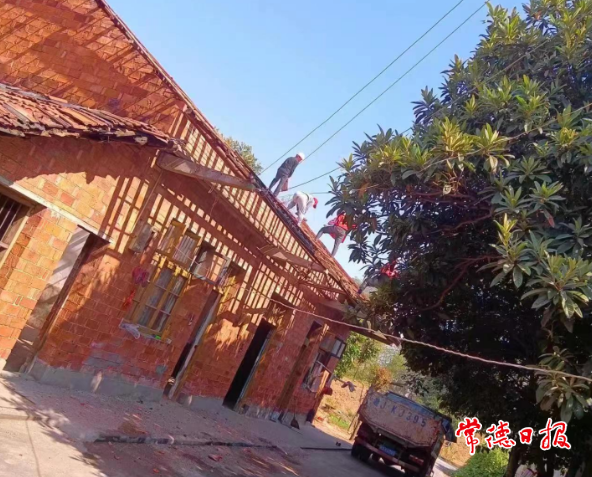 微信截图_20230731144907.png