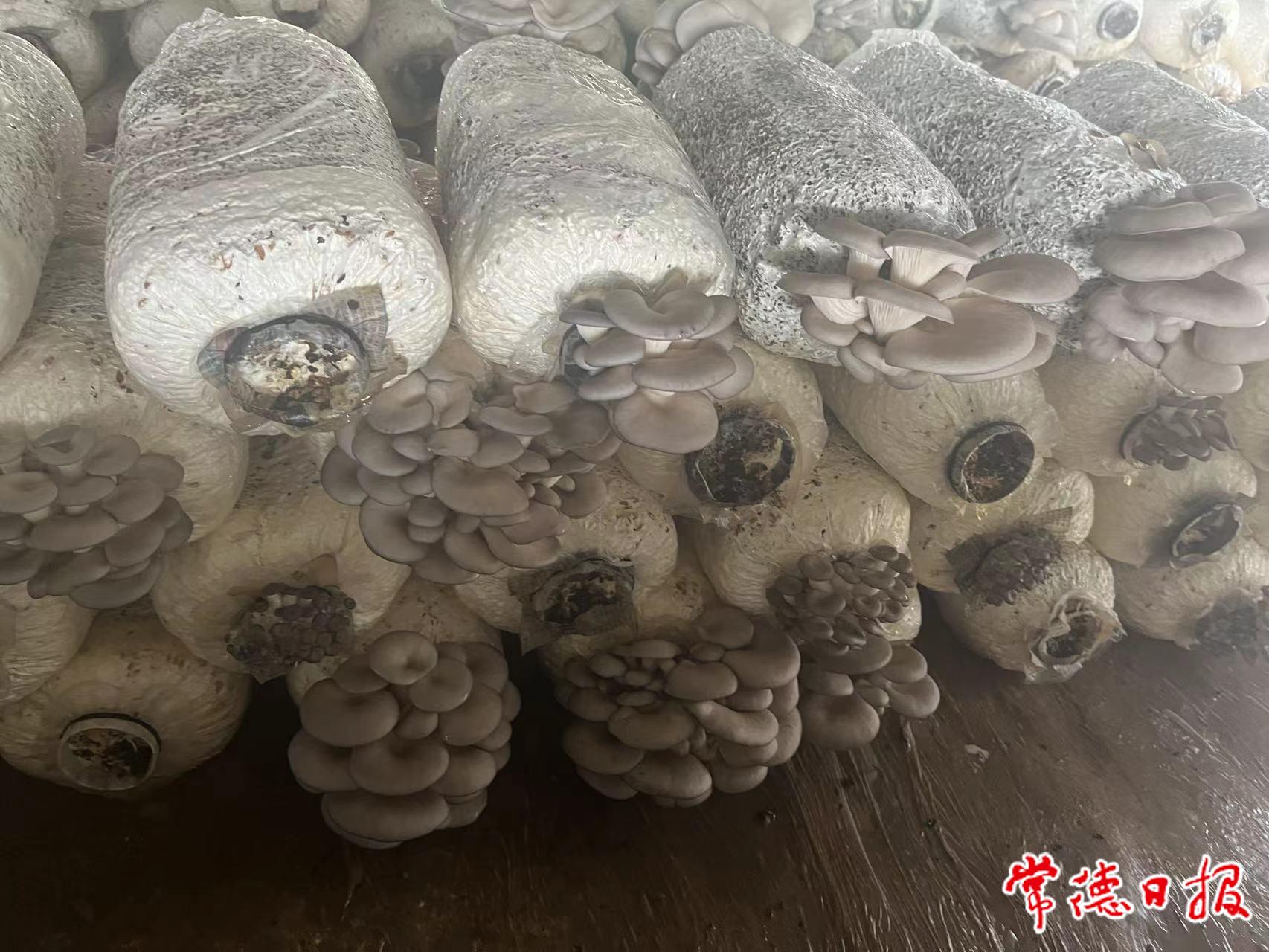 邓继林1_20231107142057.jpg
