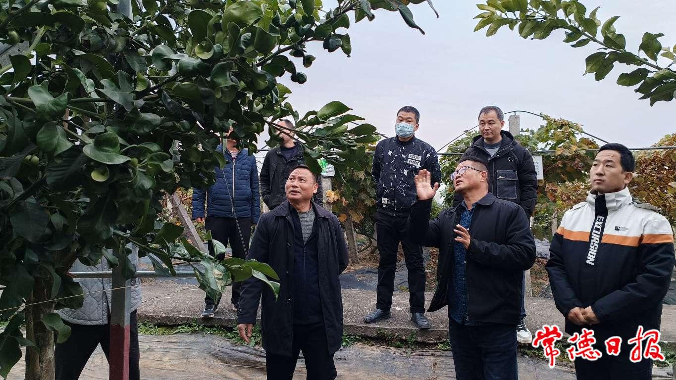 资源圃.jpeg