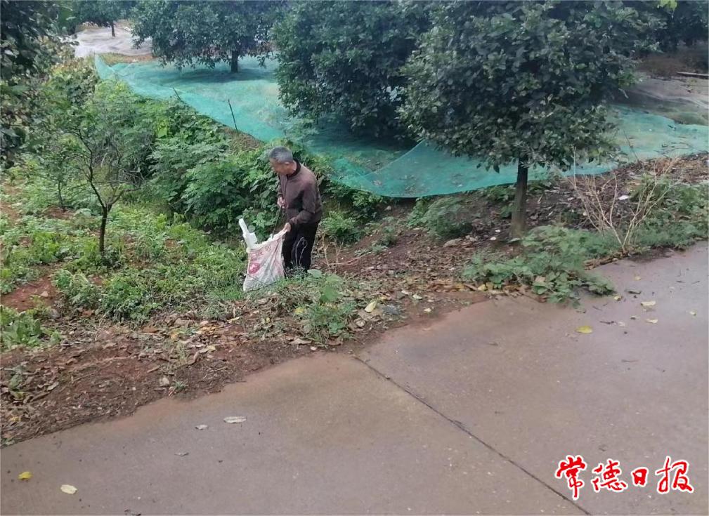 陈正兰在道路旁打扫卫生.jpg
