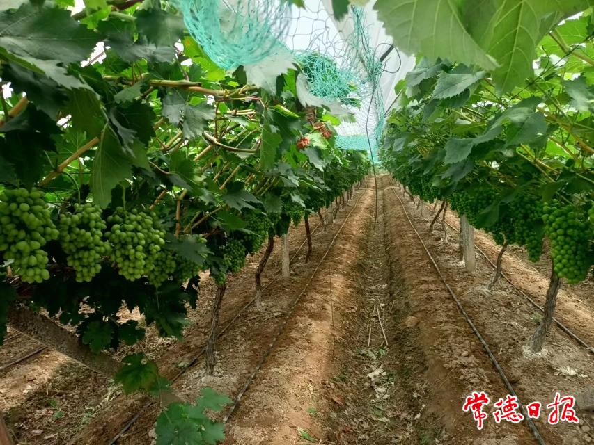 微信图片_20230616113011.jpg