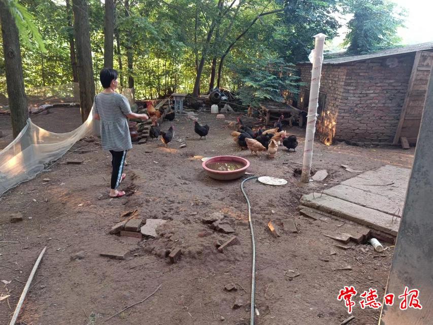 宗玉兰养殖场.jpg